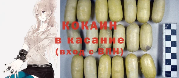 дмт Дмитров