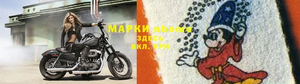 шишки Дмитровск