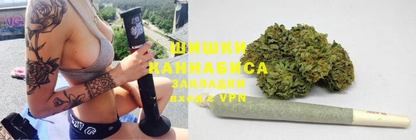 шишки Дмитровск