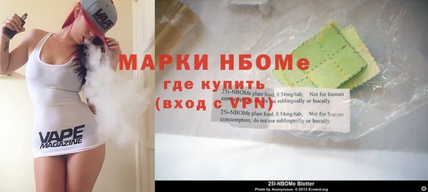 шишки Дмитровск