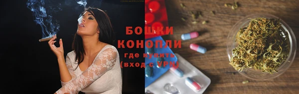 дмт Дмитров