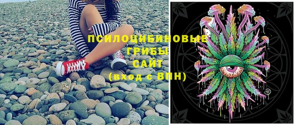 шишки Дмитровск
