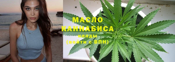 дмт Дмитров